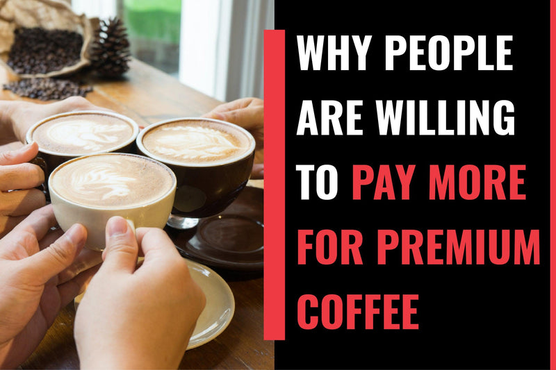 Hot Beverage Vending: Why People Are Willing to Pay More for Premium Coffee - Vendnet
